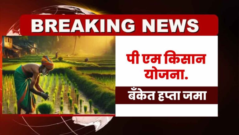 पी एम किसान योजनेचा १९ वा हप्ता या तारखेला येणार, या ठिकाणी तारीख पहा ...